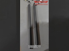 LR093409 LR126176 ऑटो स्पेयर पार्ट्स रेंज रोवर वेलर के लिए इलेक्ट्रिक टेलगेट स्ट्रट्स